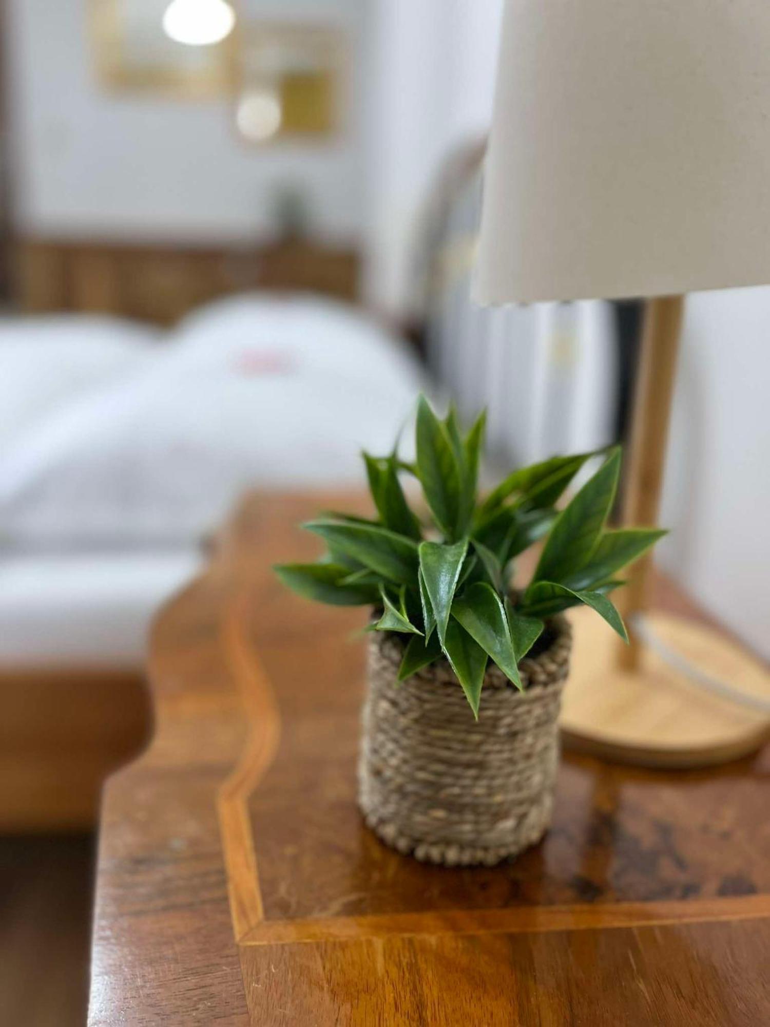 Premium U Swietego Mikolaja Apartment